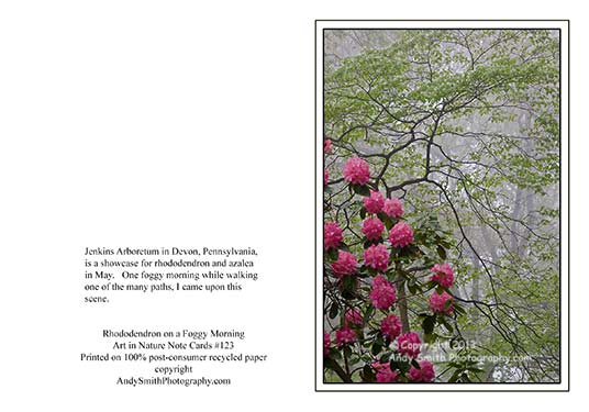 Rhododendron on aFoggy Morning Note Card